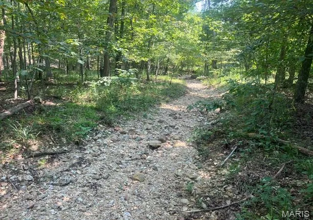 5th image of 0 County Road 341, Piedmont, MO 63957 | MLS# MIS26055209