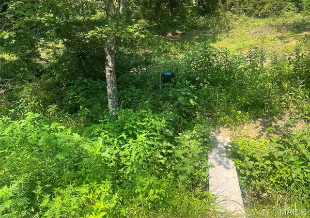 3rd image of 00 County Road 341, Piedmont, MO 63957 | MLS# MIS26055219