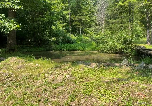 4th image of 00 County Road 341, Piedmont, MO 63957 | MLS# MIS26055219