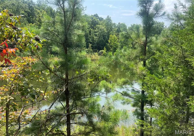 3rd image of 0000 County Road 341, Piedmont, MO 63957 | MLS# MIS26055238
