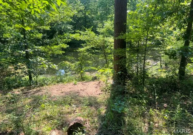 4th image of 0000 County Road 341, Piedmont, MO 63957 | MLS# MIS26055238