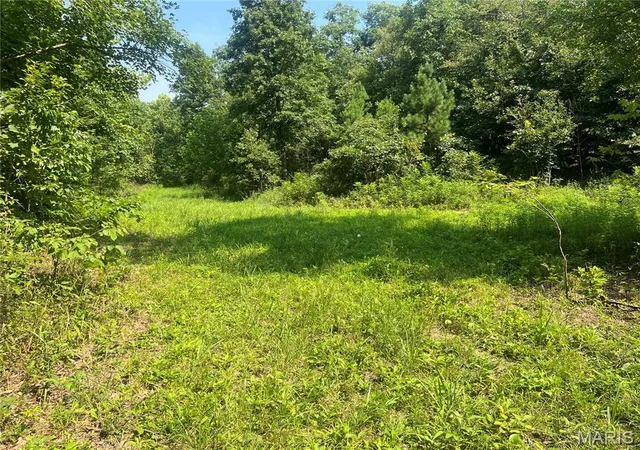 5th image of 0000 County Road 341, Piedmont, MO 63957 | MLS# MIS26055238