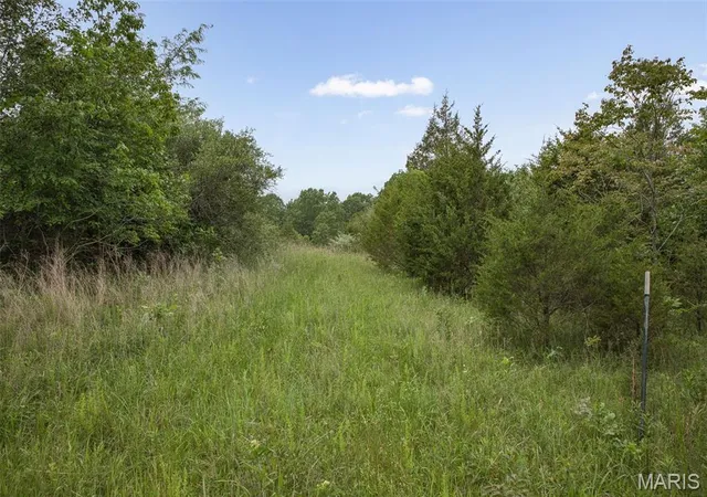 Photo 1 of Sale Pending at 9449 Hillsboro House Springs, Hillsboro, MO 63050 | MLS# MIS26055312 | Listing updated on 2026-08-27