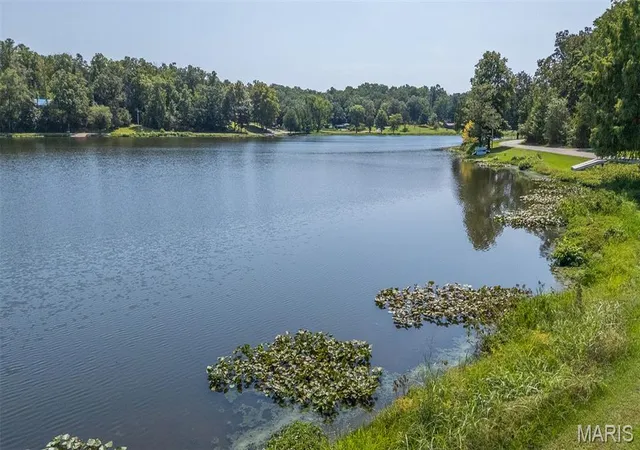63rd image of 2118 Hwy W, Poplar Bluff, MO 63901 | MLS# MIS26055413
