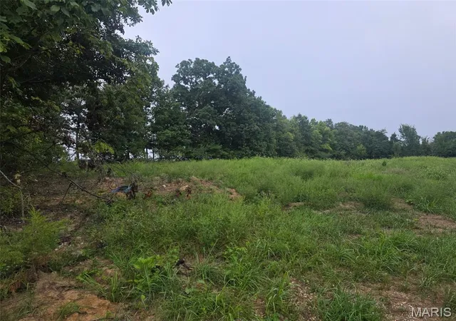 3rd image of 45 Ponder Rd, Elsberry, MO 63343 | MLS# MIS26055414