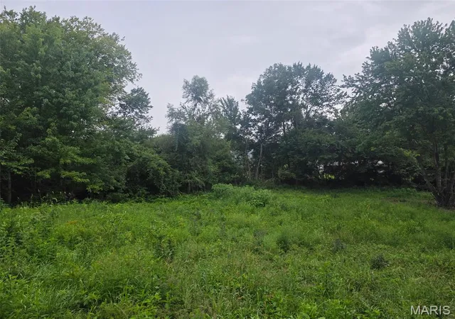 4th image of 45 Ponder Rd, Elsberry, MO 63343 | MLS# MIS26055414