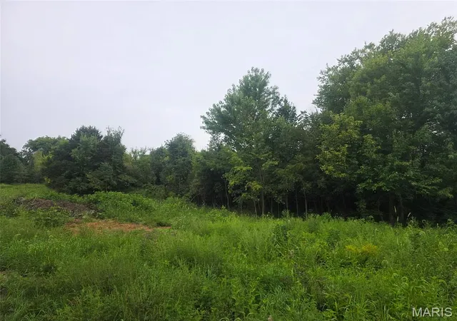 5th image of 45 Ponder Rd, Elsberry, MO 63343 | MLS# MIS26055414