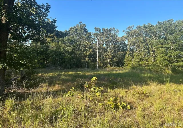 1st image of 000 County Road 2340, Salem, MO 65560 | MLS# MIS26055419