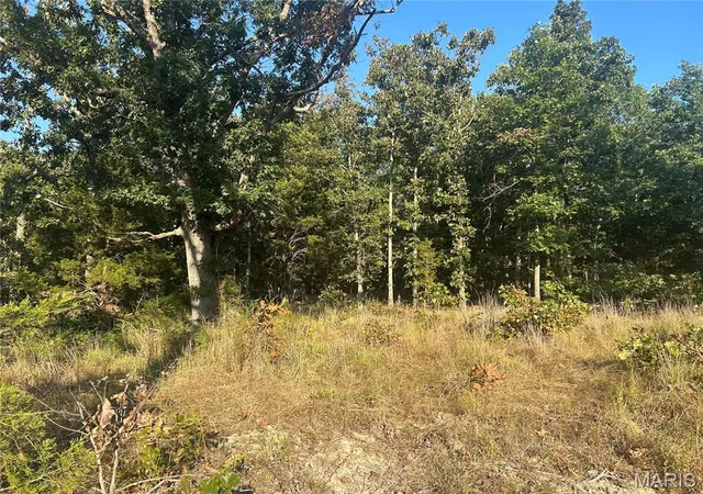 3rd image of 000 County Road 2340, Salem, MO 65560 | MLS# MIS26055419