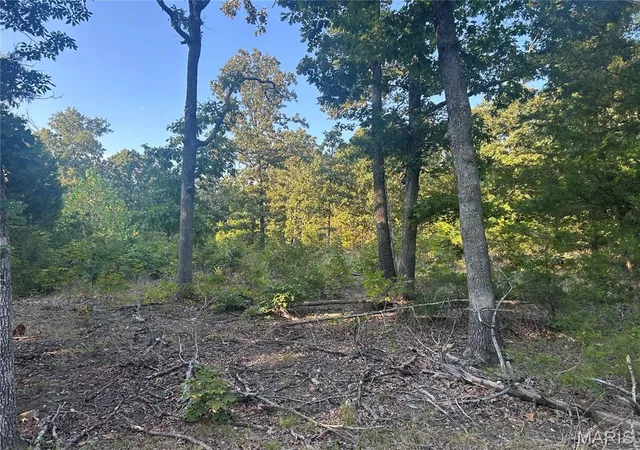 7th image of 000 County Road 2340, Salem, MO 65560 | MLS# MIS26055419