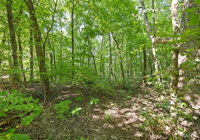Photo 3 of Land for sale at 1013 Berry Ln, Edwardsville, IL 62025 | MLS# MIS26055465 | Listing updated on 2026-08-27