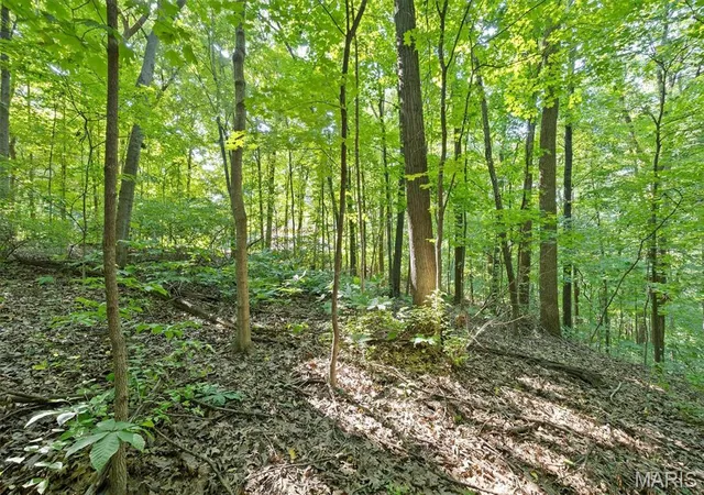 Photo 4 of Land for sale at 1013 Berry Ln, Edwardsville, IL 62025 | MLS# MIS26055465 | Listing updated on 2026-08-27