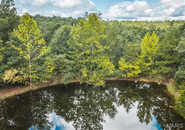 1st image of 0 New Home Cemetery Rd, Salem, MO 65560 | MLS# MIS26055482