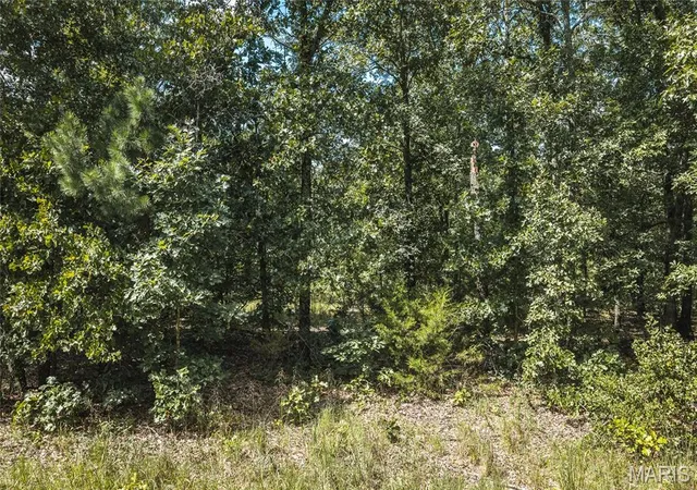 17th image of 0 New Home Cemetery Rd, Salem, MO 65560 | MLS# MIS26055482