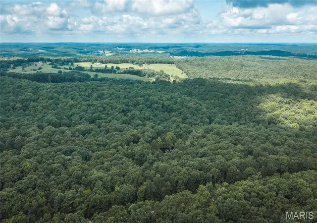 3rd image of 0 New Home Cemetery Rd, Salem, MO 65560 | MLS# MIS26055482