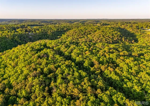 23rd image of 25+/  Forrest Dr, Houston, MO 65483 | MLS# MIS26055597