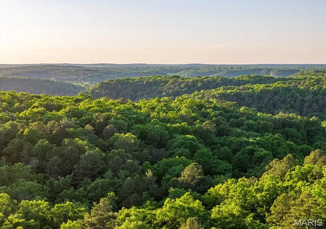 4th image of 25+/- Forrest Dr, Houston, MO 65483 | MLS# MIS26055597
