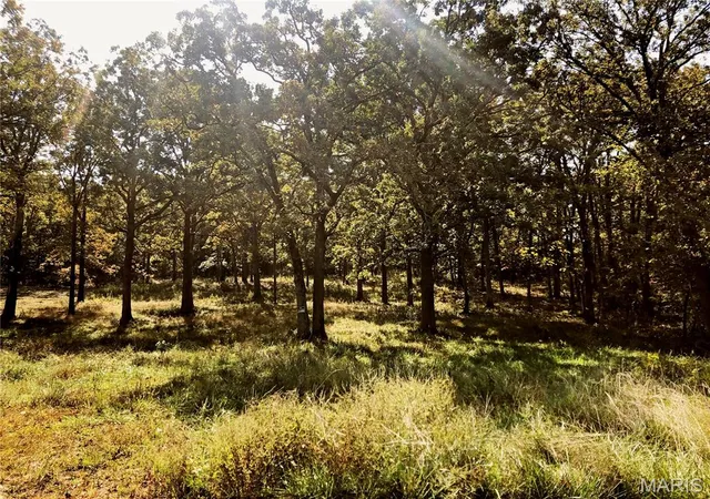 1st image of 10240 County Road 3060, Rolla, MO 65401 | MLS# MIS26055718