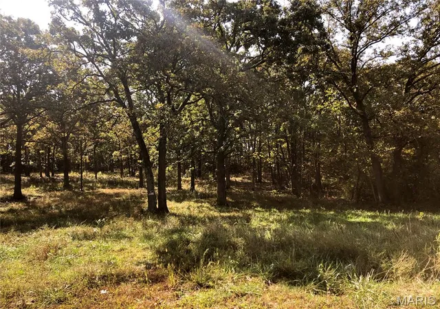 3rd image of 10240 County Road 3060, Rolla, MO 65401 | MLS# MIS26055718