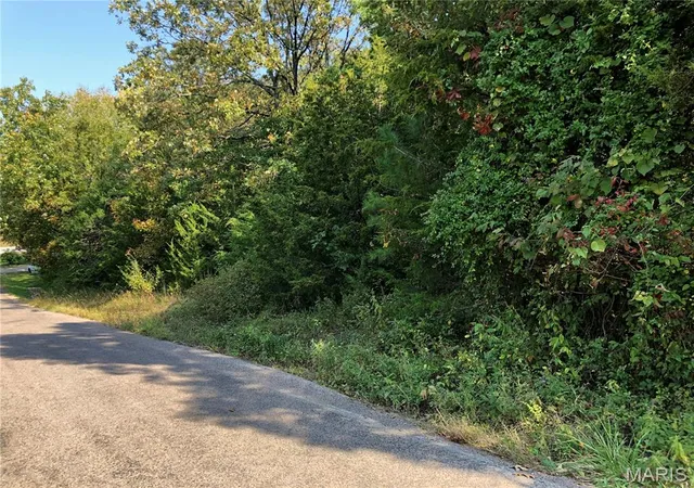 4th image of 10240 County Road 3060, Rolla, MO 65401 | MLS# MIS26055718