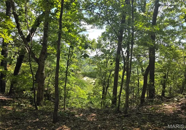 Photo 4 of Land for sale at 19320 Hwy 8 Tract 4, Saint James, MO 65559 | MLS# MIS26055719 | Listing updated on 2026-09-25