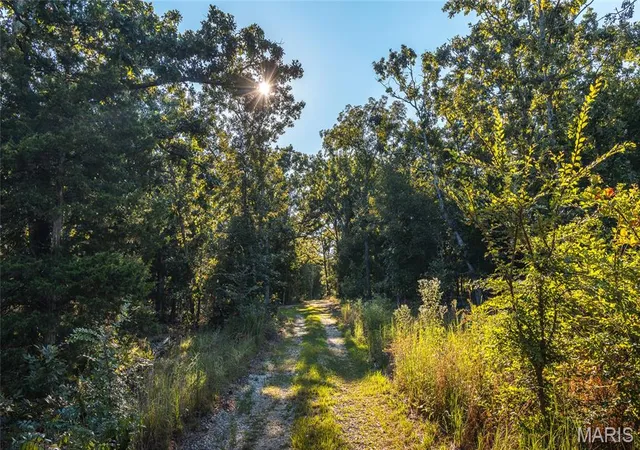 Photo 1 of Land for sale at 16505 State Route K, Edgar Springs, MO 65462 | MLS# MIS26055761 | Listing updated on 2026-09-17