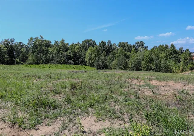 3rd image of 1017 Ridge Ave, Poplar Bluff, MO 63901 | MLS# MIS26055834
