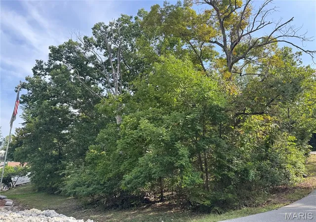 Photo 3 of Land for sale at 0 E Vista Dr, Hillsboro, MO 63050 | MLS# MIS26055864 | Listing updated on 2026-09-04