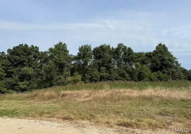 Photo 2 of Sale Pending at 80 A Shelby 142, Bethel, MO 63434 | MLS# MIS26055982 | Listing updated on 2026-09-01