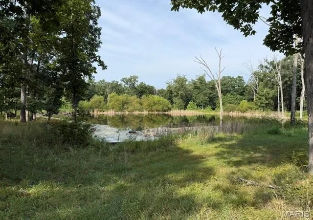 Photo 5 of Sale Pending at 80 A Shelby 142, Bethel, MO 63434 | MLS# MIS26055982 | Listing updated on 2026-09-01