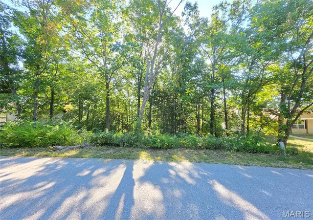 Photo 1 of Land for sale at 9744 Lee Dr, Hillsboro, MO 63050 | MLS# MIS26056150 | Listing updated on 2026-09-02