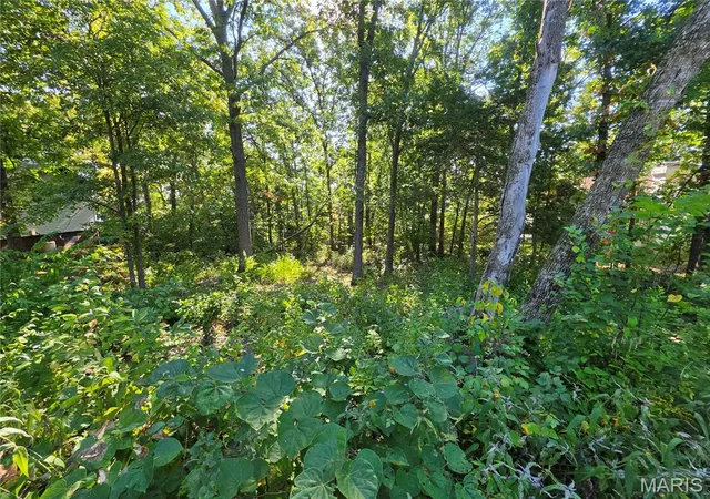 Photo 3 of Land for sale at 9744 Lee Dr, Hillsboro, MO 63050 | MLS# MIS26056150 | Listing updated on 2026-09-02