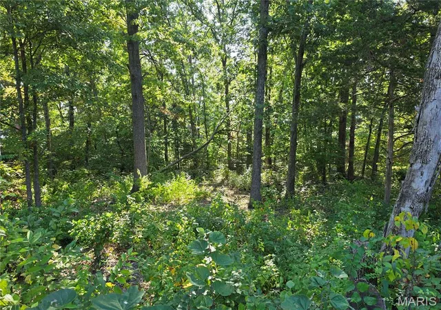 Photo 3 of Land for sale at 9744 Lee Dr, Hillsboro, MO 63050 | MLS# MIS26056150 | Listing updated on 2026-09-02