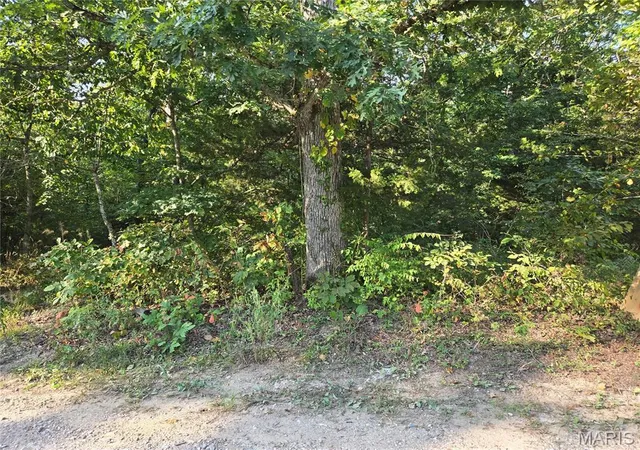 Photo 1 of Land for sale at 0 Tranquil Oaks, Wright City, MO 63390 | MLS# MIS26056351 | Listing updated on 2026-09-02