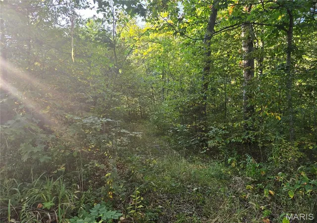 Photo 3 of Land for sale at 0 Tranquil Oaks, Wright City, MO 63390 | MLS# MIS26056351 | Listing updated on 2026-09-02