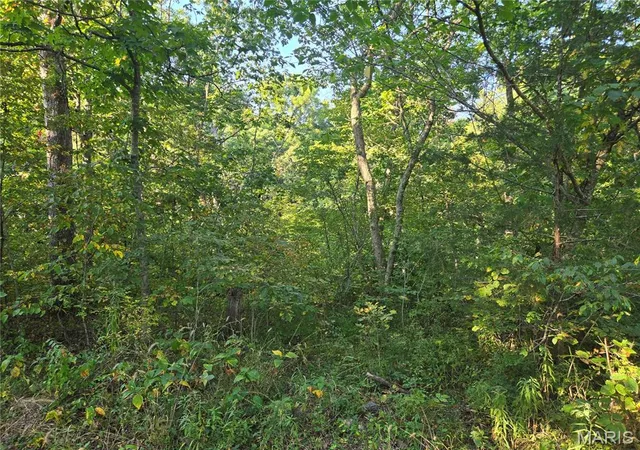 Photo 3 of Land for sale at 0 Tranquil Oaks, Wright City, MO 63390 | MLS# MIS26056351 | Listing updated on 2026-09-02