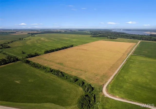 Photo 1 of Land for sale at 0 County Rd 542, Caruthersville, MO 63830 | MLS# MIS26056363 | Listing updated on 2026-09-05