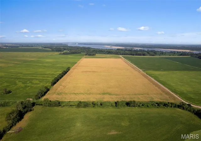 Photo 2 of Land for sale at 0 County Rd 542, Caruthersville, MO 63830 | MLS# MIS26056363 | Listing updated on 2026-09-05