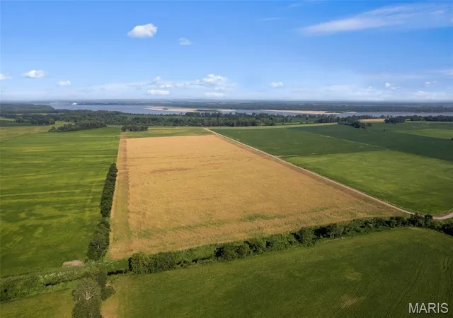 Photo 3 of Land for sale at 0 County Rd 542, Caruthersville, MO 63830 | MLS# MIS26056363 | Listing updated on 2026-09-05