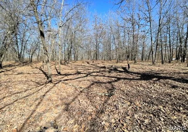 Photo 3 of Land for sale at 13025 Industry Rd, Lebanon, MO 65536 | MLS# MIS26056415 | Listing updated on 2026-09-02