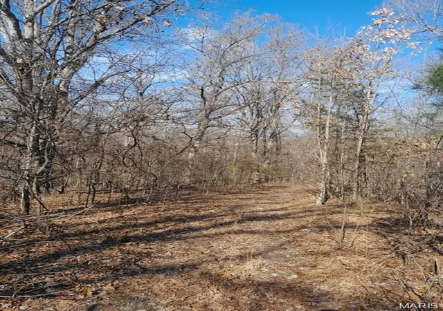 Photo 4 of Land for sale at 15580 E Highway 32, Boss, MO 65440 | MLS# MIS26056429 | Listing updated on 2026-09-28