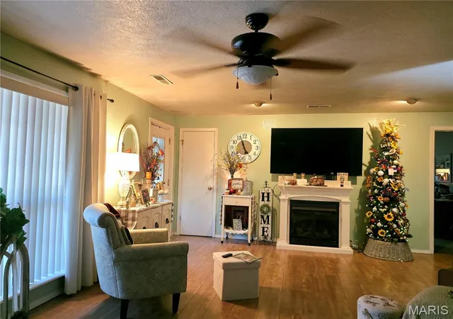 Photo 4 of Single family home for sale at 205 Ripley E 4a, Doniphan, MO 63935 | MLS# MIS26056440 | Listing updated on 2026-09-25
