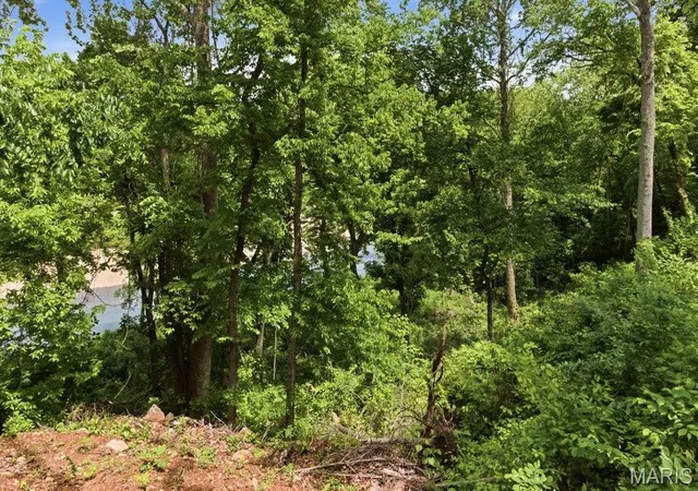 Photo 4 of Land for sale at Tract 10 Cir B Rd, Eminence, MO 65466 | MLS# MIS26056524 | Listing updated on 2026-09-02
