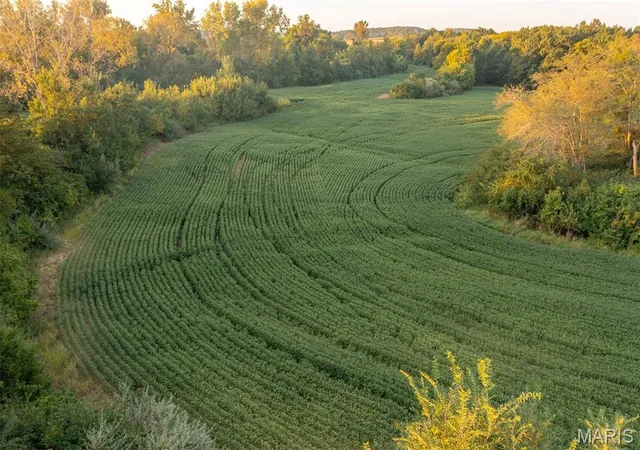 Photo 4 of Land for sale at 00 Hwy Jj, Elsberry, MO 63343 | MLS# MIS26056553 | Listing updated on 2026-09-02
