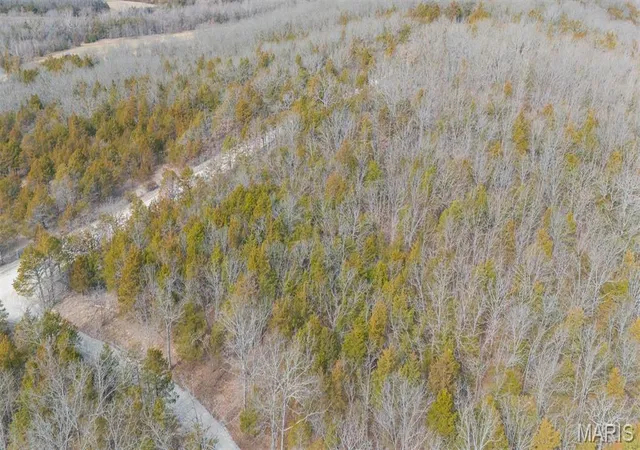 Photo 4 of Land for sale at 0 County Rd 8050, Rolla, MO 65401 | MLS# MIS26056558 | Listing updated on 2026-09-02