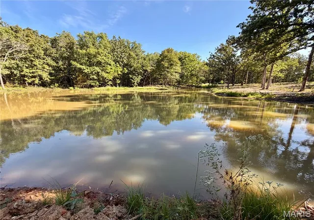 Photo 2 of Land for sale at Lot 11 County Rd 4180, Salem, MO 65560 | MLS# MIS26056656 | Listing updated on 2026-09-17