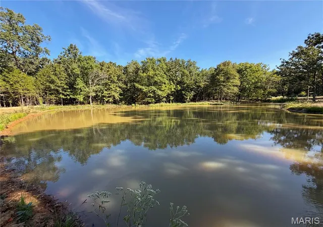 Photo 3 of Land for sale at Lot 11 County Rd 4180, Salem, MO 65560 | MLS# MIS26056656 | Listing updated on 2026-09-17