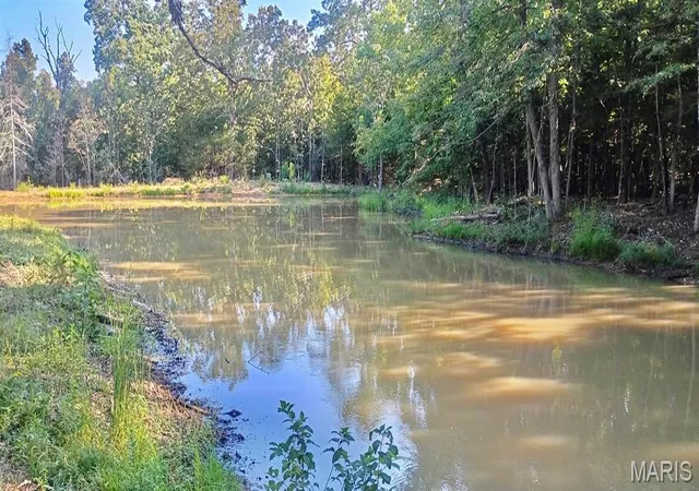 Photo 3 of Land for sale at Lot 11 County Rd 4180, Salem, MO 65560 | MLS# MIS26056656 | Listing updated on 2026-09-17