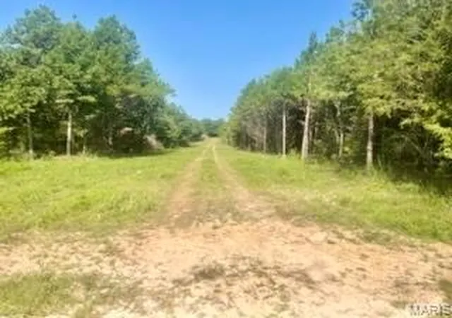 Photo 2 of Land for sale at Tract 1 & 2 W Hwy 32, Licking, MO 65542 | MLS# MIS26056744 | Listing updated on 2026-09-02