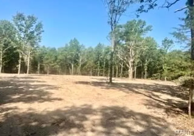 Photo 3 of Land for sale at Tract 1 & 2 W Hwy 32, Licking, MO 65542 | MLS# MIS26056744 | Listing updated on 2026-09-02